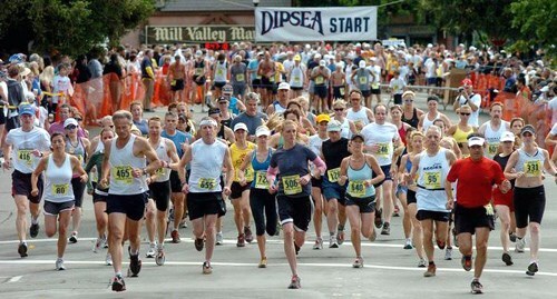 Runners streaming from the Dipsea start line