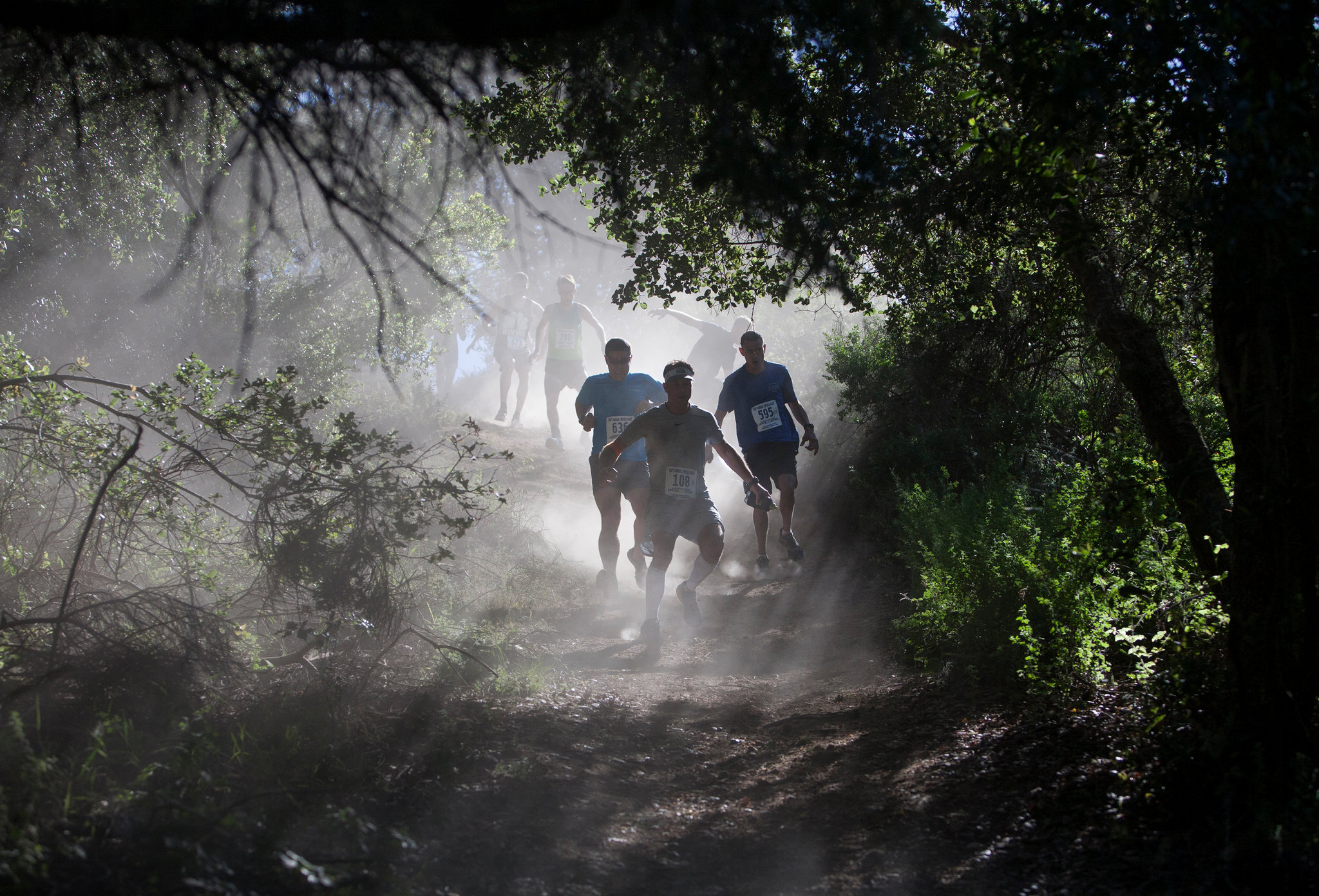 Runners climbing the dusty Dipsea trail